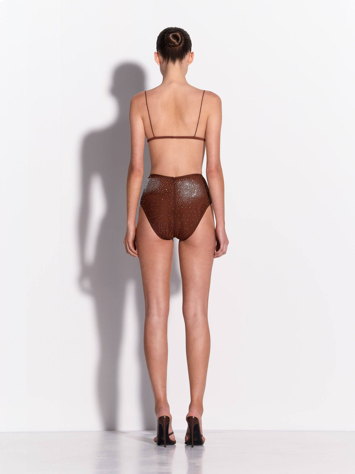 Brief in Crystal Mesh