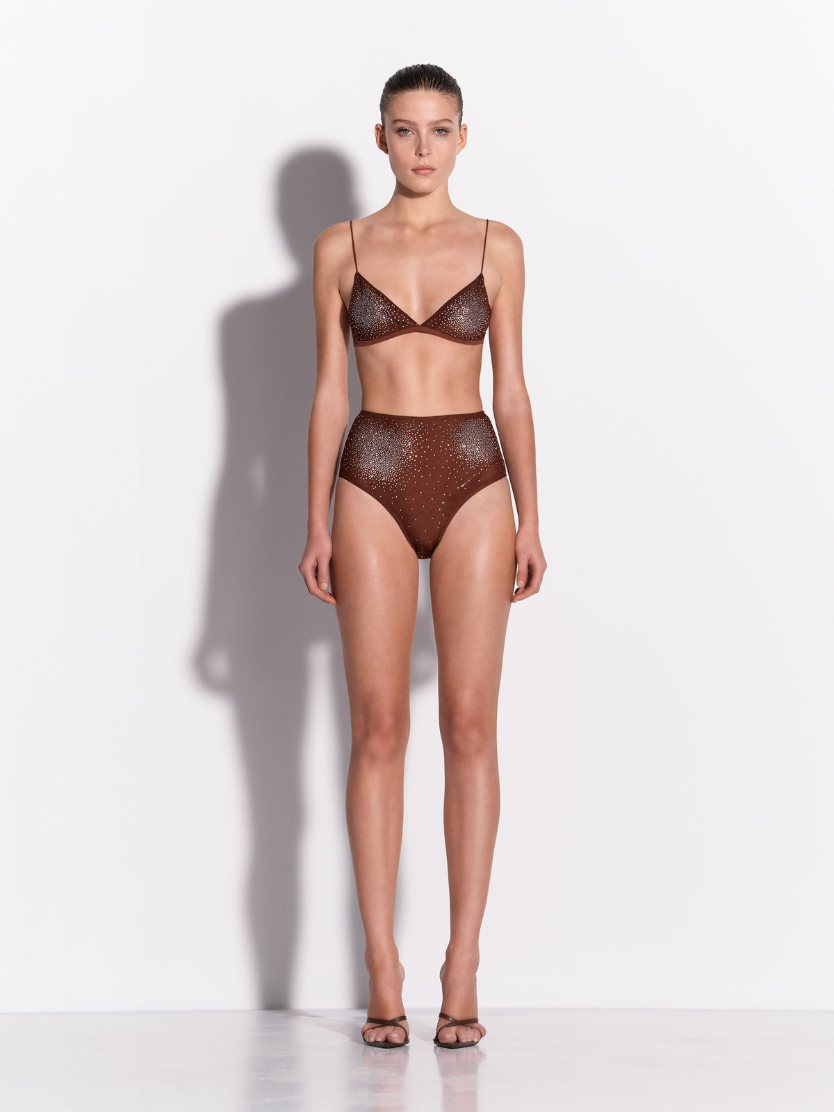 Brief in Crystal Mesh