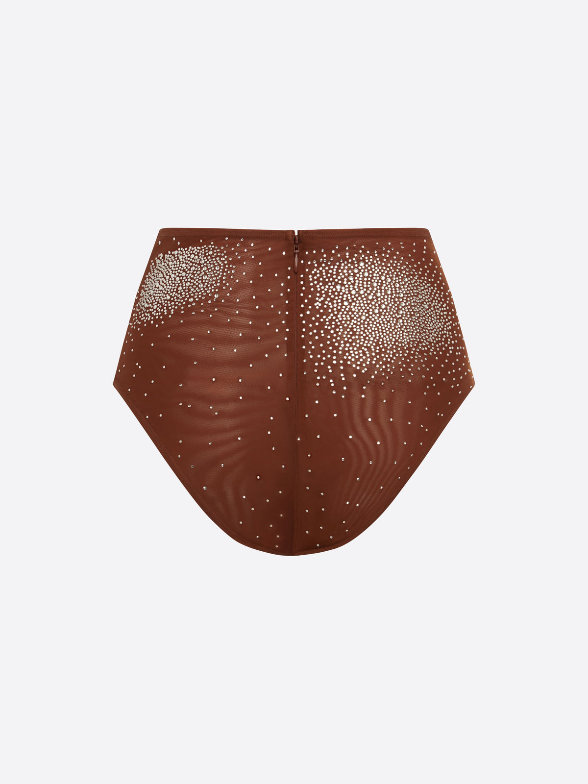 Brief in Crystal Mesh