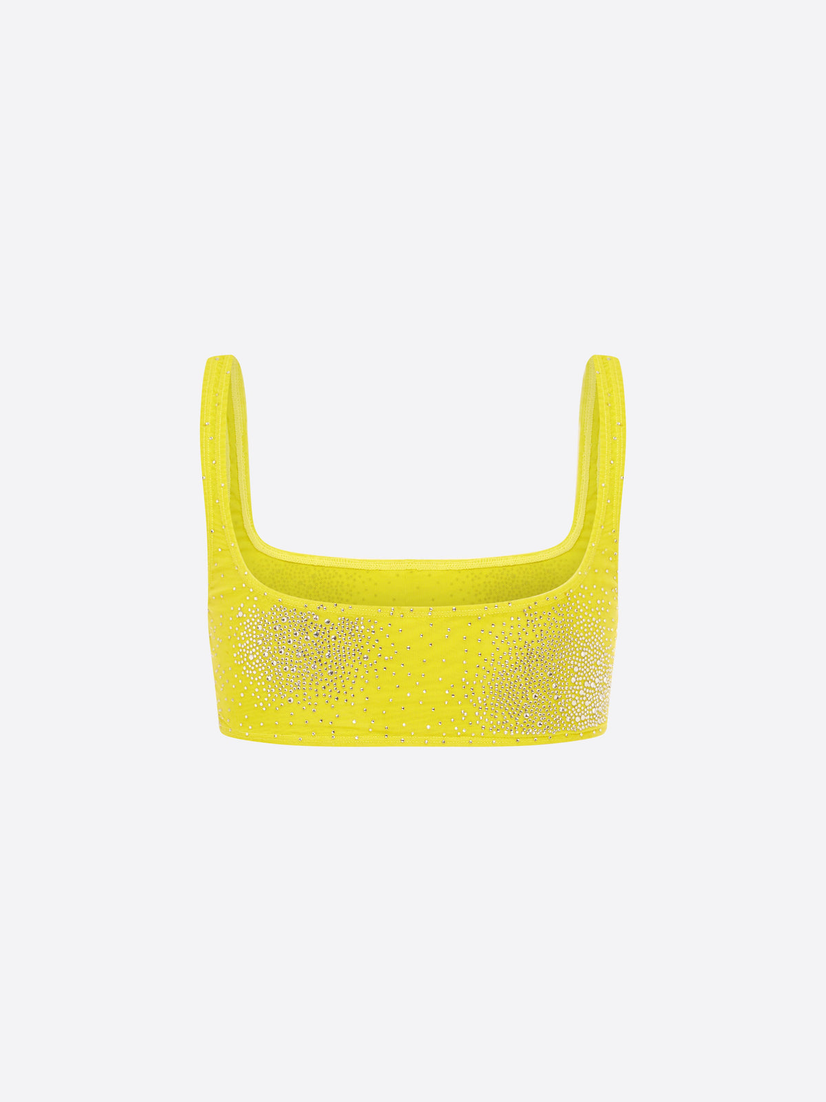 Portrait Crop Top in Crystal Mesh