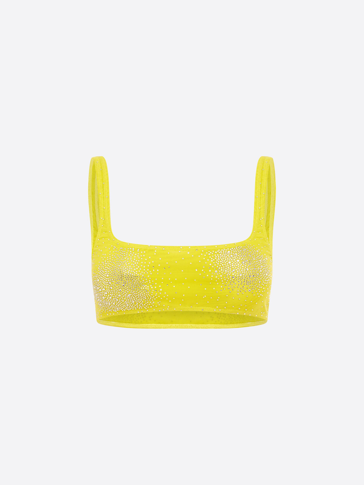 Portrait Crop Top in Crystal Mesh