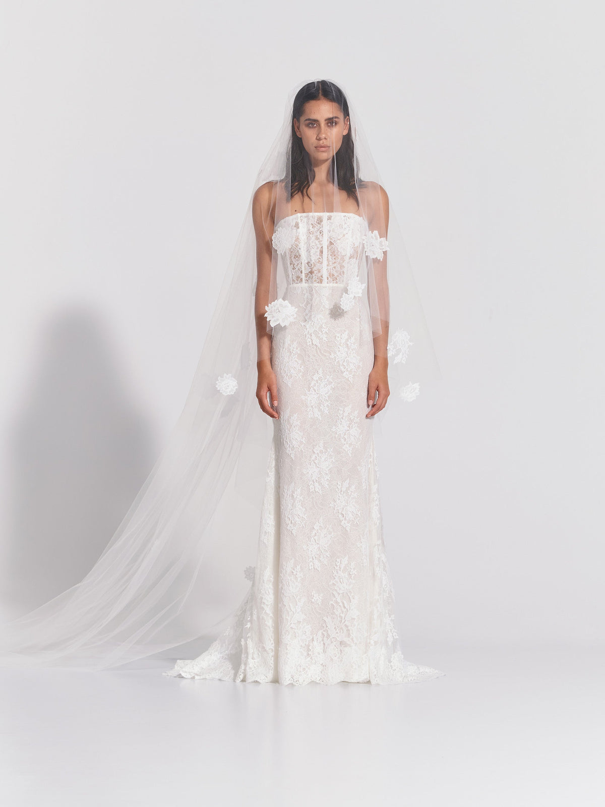 Veil With Lace Applique