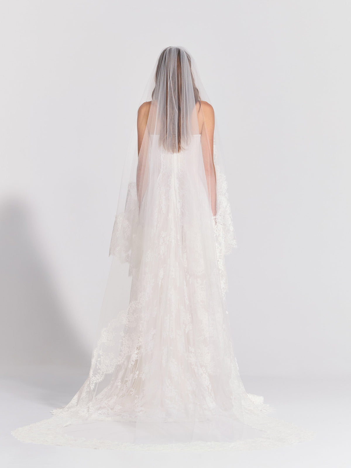 Veil With Lace Trim